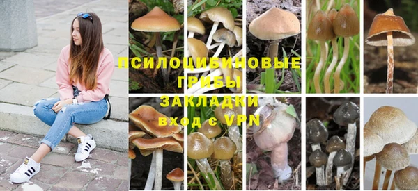 jwh Армянск