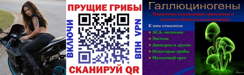 где продают наркотики  Багратионовск  Галлюциногенные грибы мухоморы 